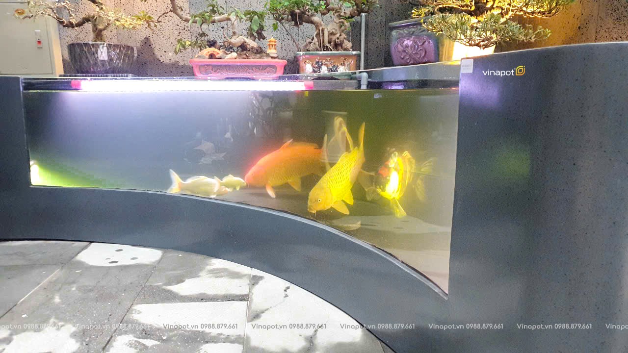 bể cá kính cong composite siêu khủng tại Ocean Park 3 (1)