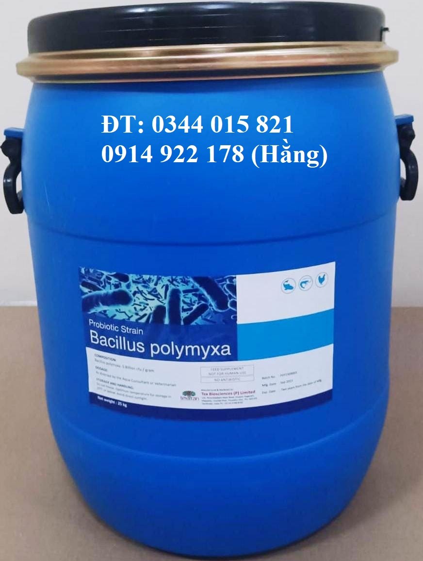 polymyxa