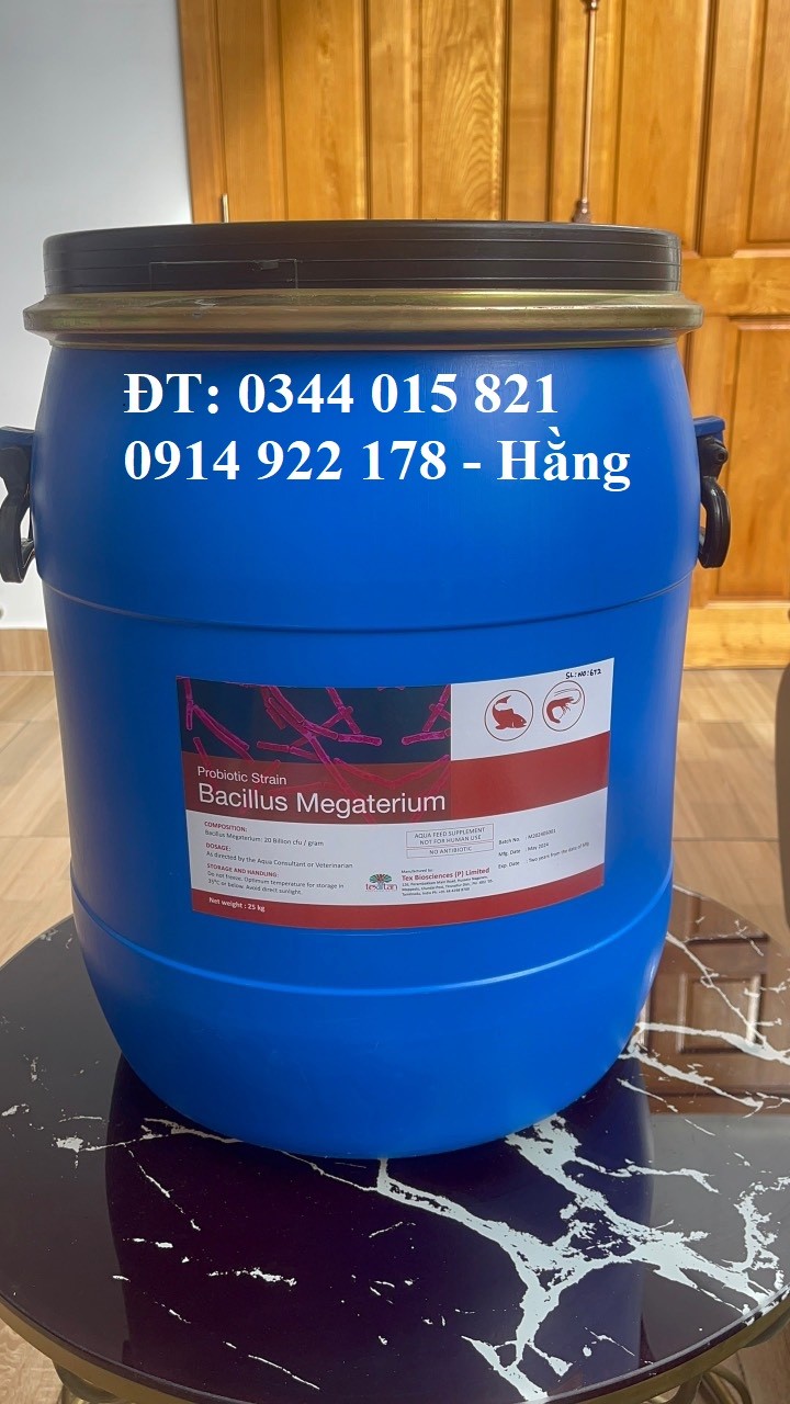 megaterium 20 tỉ